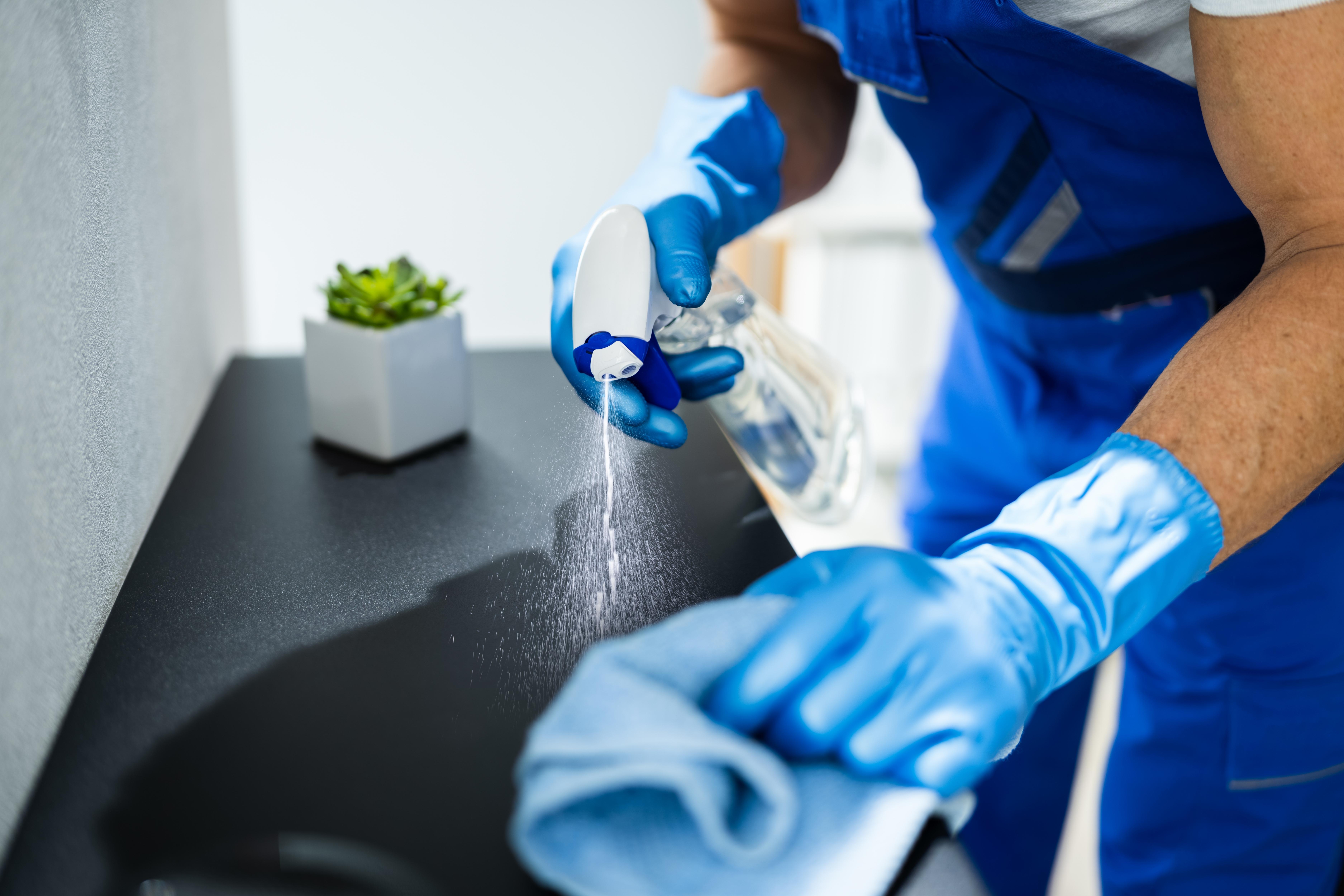 Professional cleaning team in Poland